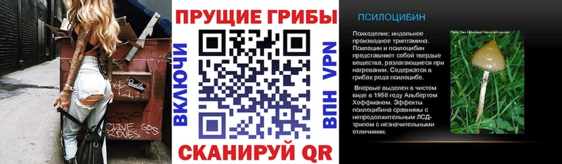 Псилоцибиновые грибы Psilocybine cubensis  Купить  Тейково 